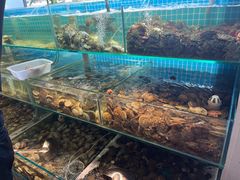 -同道蒸汽海鲜烧烤自助(刘庄夜市店)