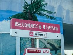 -芜湖新华联大白鲸海洋公园