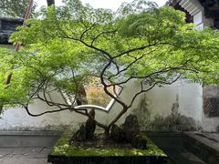 -太平天国侍王府
