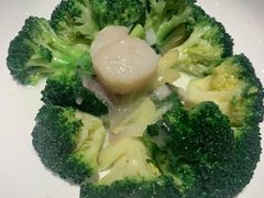 碧绿澳洲带子-申粤轩酒楼·三十年粤菜经典(丁香花园店)