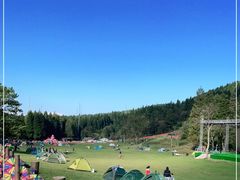 -武陵山森林公园