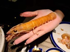-極上萬膳·日料放题(海岸城店)