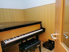 -柏斯音乐艺术中心·钢琴·吉他(世纪金源店)