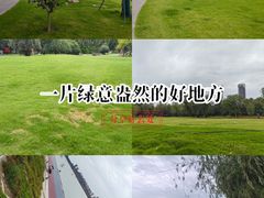 -咸阳湖景区