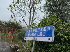 -广东天露山旅游度假区