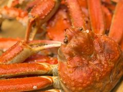 -震海贝烤贝·民俗特色店(延吉总店)
