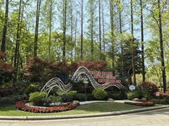 -徐家汇源景区-衡山公园