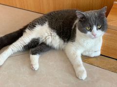 -Catmate·猫肥家润(金润铂宫店)