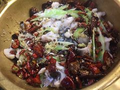 炝锅江团-小胖墩炝锅鱼(天钥桥路店)