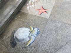 -青岛东方影都融创水世界