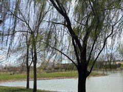 -圣露庄园·露营·烤肉·亲子