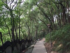 -赭山公园