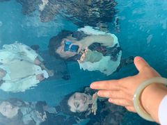 -金泽21世纪美术馆