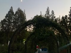 -黄兴公园