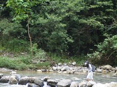 -鹿院坪生态旅游景区