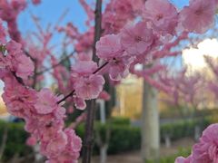 -中关村生命科学园