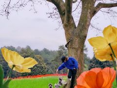 -保利石象湖景区