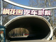 android_upload_pic-枫花园汽车电影院(朝阳公园店)