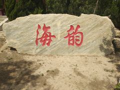 -大港湿地公园