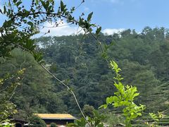 -武夷山风景名胜区-玉女峰