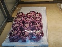 -祥禾饽饽铺·中式糕点(北京来福士店)