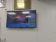 -美联众合爱康动物医院•复杂内科•肿瘤科•牙科•腔镜诊疗中心