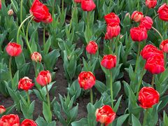 -玄武湖景区-情侣园游乐场