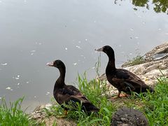 -东郊湿地公园