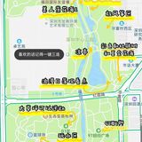 深圳人的后花园|满足你一切愿望的宝藏公园