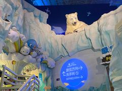 -海合安青岛极地海洋公园