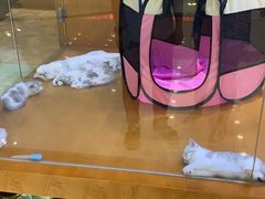 -凯德广场(武胜路店)