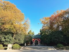 -灵谷景区
