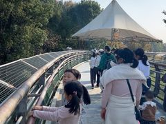 -合肥野生动物园