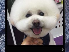 -乐琪宠物(青塔西路店)