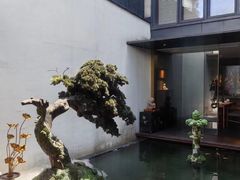 -觀芷隐轩