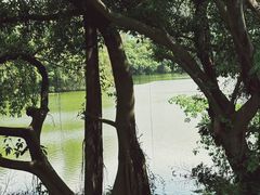 -南国桃园旅游度假区