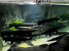 -泉城欧乐堡海洋极地世界