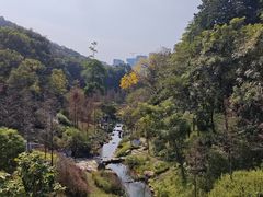 -云溪植物园