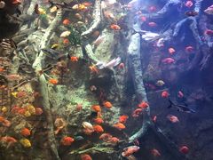 -杭州开元森泊度假乐园