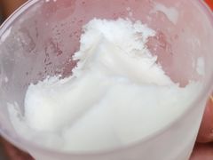 -洪馨椰子