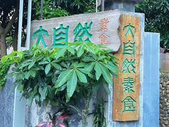 -大自然素食(望桐路店)