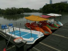 -艾溪湖湿地公园