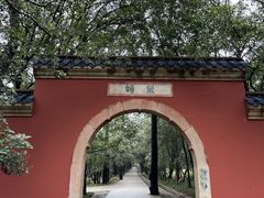 -灵谷景区
