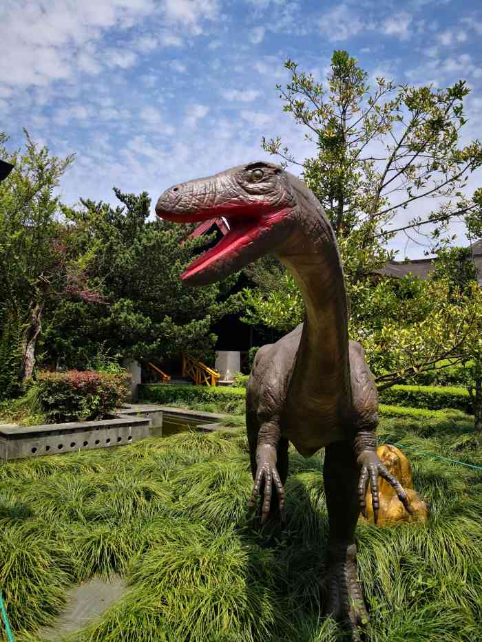 杭州恐龙梦公园-"小朋友应该都很喜欢恐龙03吧我们是去年.