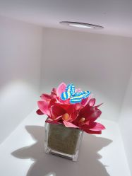 -MIVI半永久纹眉纹绣