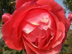 -星美国际影城(迪信通店)