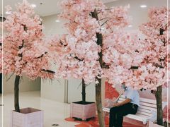 -万达广场(菏泽牡丹店)