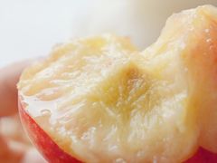 -老袁家蜜桃农场·阳山水蜜桃