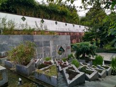 -广州神农草堂中医药博物馆