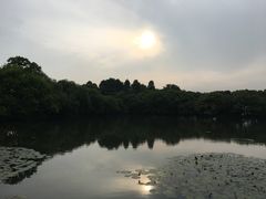 -西湖外事游船(花港观鱼码头)